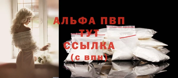 гашик Абаза