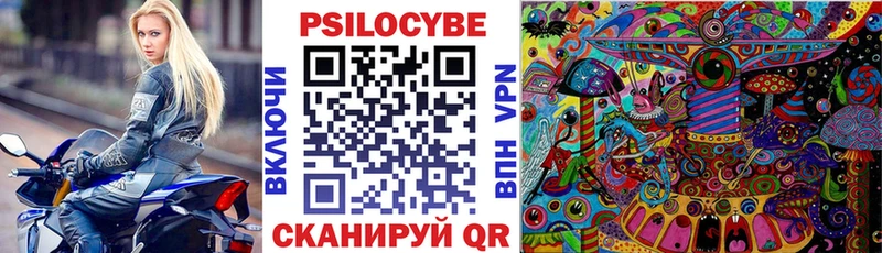 Псилоцибиновые грибы Psilocybe Людиново